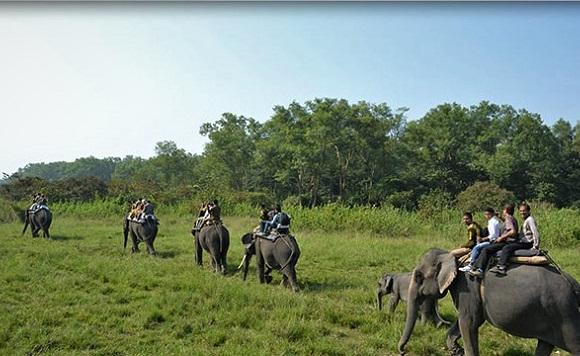 moregaon car hire from guwahati assam