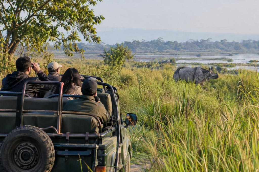 Jeep safari in Kaziranga National Park Assam